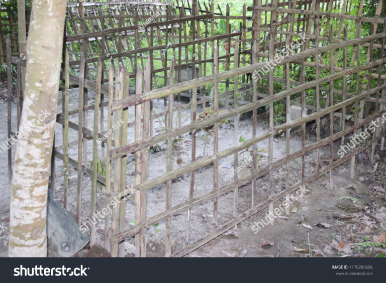 কবর - পল্লীকবি জসিমউদ্দীন