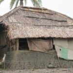 ভিখিরির আবার পছন্দ - শঙ্খ ঘোষ।