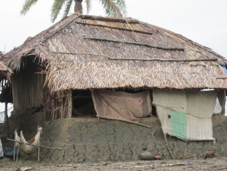 ভিখিরির আবার পছন্দ - শঙ্খ ঘোষ।