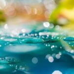 কথায় কথায় – তারাপদ রায়।